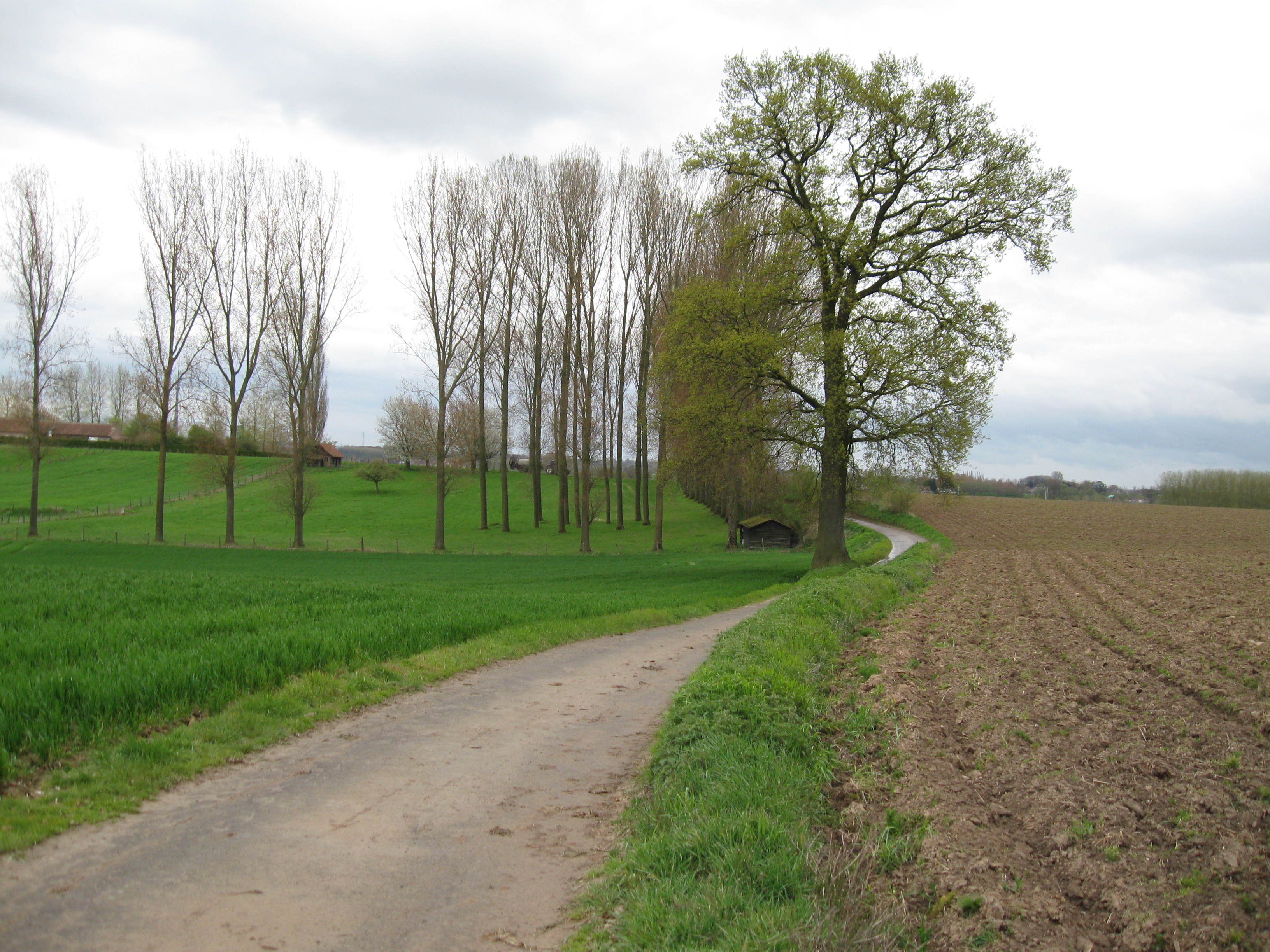 Pajottenland